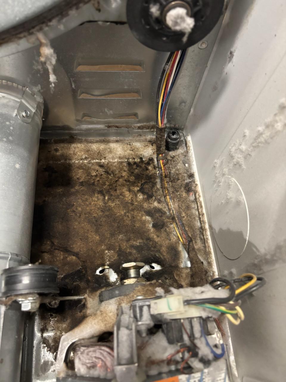 Dryer lint fire damage -- close-up of burn damage from clogged vent